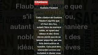 Folie pour folie prenons les plus nobles  Gustave Flaubert [upl. by Atinob]