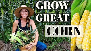 9 Tips for Growing Corn at Home 🌽🌽🌽 [upl. by Esilahs]