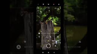 creative photography tips trick withe phone using pro mood Mobile photographyazizclick [upl. by Arhas73]