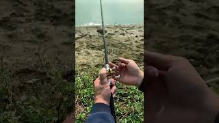 Fishing Angling CatchAndRelease FishingLife FishingTips FishingGear OutdoorAdventure fishing [upl. by Hulda]