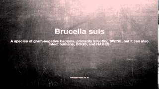 Medical vocabulary What does Brucella suis mean [upl. by Yruok681]