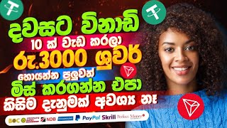 සල්ලි මවන්න පුලුවන් සයිට් 🤑  How To Earn Money Sinhala  Online Business  Passive Income  Dollars [upl. by Ap700]