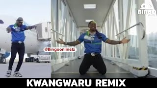 Harmonize  MAGUFULI Video Analysis [upl. by Nniuqal]