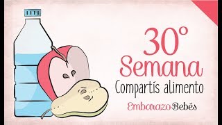 SEMANA 30 de Embarazo  7º Mes  Semana a semana [upl. by Garnes]