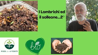 I Lombrichi ed il solleone 2° [upl. by Miharbi]