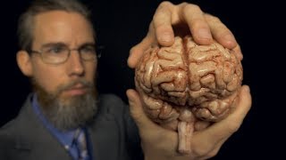 Massaging Your Brain with Professor Clemmons  ASMR [upl. by Eeliab]