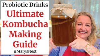 Beginners Guide to Kombucha Making  How to Make Kombucha at Home [upl. by Dde]