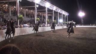 Five Gaited Championship Mercer County Fair Horse Show 2010 HD [upl. by Somerville]