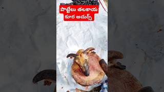 పొట్టేలు తలకాయ కూర అదుర్స్ food foodie foodlover sheep sheepfarming meet motton recipe farm [upl. by Atterys]