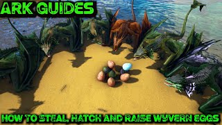 The Ultimate Guide To Stealing Wyvern Eggs AND How To Hatch And Raise Them  Ark Guides [upl. by Dnalyar]