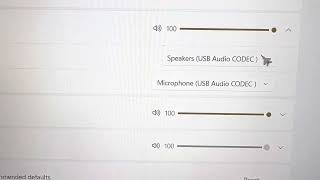 Microsoft Windows 11 Audio amp Mic Settings for WSJTX FT8 [upl. by Althea]