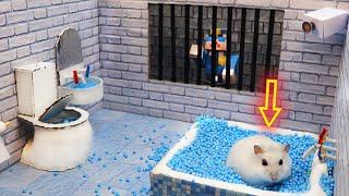 🐹Hamster Escapes the Awesome 5Star Luxury Prison Maze with Bathtub🐹 for Pets in real life [upl. by Marko]