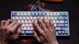 Rainy 75 keyboards sounds like heaven  ASMR typing sounds  Budget alu board in 2024！？ [upl. by Cherry]