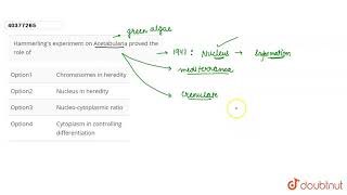 Hammerlings experiment on Acetabularia proved the role of [upl. by Cloutman]