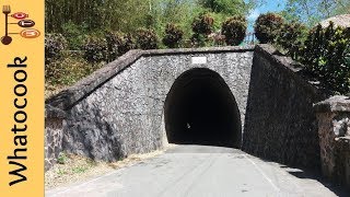 Knollys Tunnel Tabaquite Trinidad 2019  OnDeRoadTripz  WhaTooCookcom [upl. by Joye]