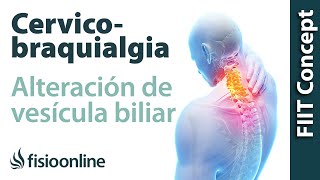 Cervicobraquialgia Izquierda por vesícula biliar  Plantas medicinales y remedios naturales [upl. by Affrica]