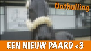 IK HEB EEN NIEUW PAARD♥️  PaardenpraatTV [upl. by Ahsieki]