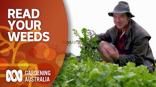 Read your weeds  Gardening 101  Gardening Australia [upl. by Crispin]