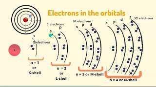 Shells Subshells and Orbitals l Understand the difference [upl. by Esinyl68]