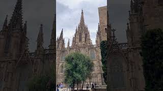 Barcelona Spain short youtubeshorts travel spain barcelona placestovisit travelvlog [upl. by Asli448]