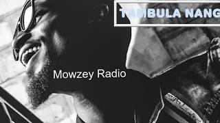 Radio amp Weasel  Tambula Nange  Audio [upl. by Llertrac]