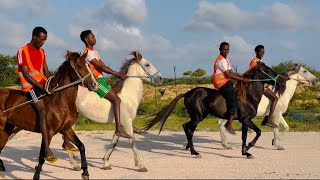 Tartanka Fardaha Soomaaliya🇸🇴🏇 “FC GALAYR🦅” [upl. by Janka]