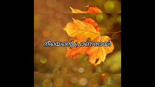 വണ്ണാത്തീ പുള്ളിനു ദൂരെ Vannathi Pullinu Doore Song Lyrics AlbumMizhineer Cover MusicLifeAVS [upl. by Charlene]