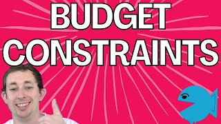 The Ultimate Guide to Budget Constraints and Budget Sets [upl. by Assirt231]