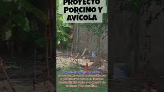 PROYECTO AVICOLA PORCICULTURA [upl. by Haram776]