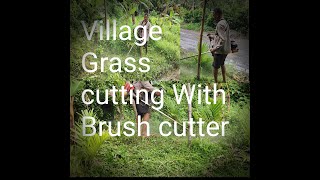 Brush cutting with Brush cutter Village [upl. by Skip]