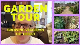 My Vegetable Desert Garden Tour  Growing Vegetables Herbs and Fruit in the California Desert Heat [upl. by Eidnac907]