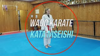 Wadokai Wadoryu karate training kata Niseishi [upl. by Arondel53]