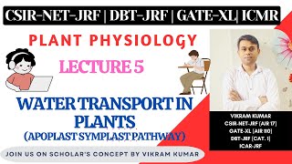 Water Transport in Plants  Apoplast Symplast Transmembrane Pathway  Xylem  Plant Physiology [upl. by Dat914]