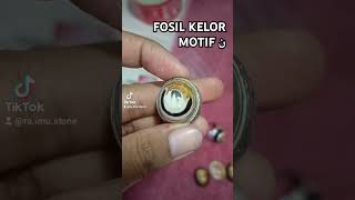 FOSIL KELOR MOTIF ن viralvideo batuakik batuakikfosil fs batuakikmotif gemstone [upl. by Izmar747]