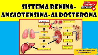 SISTEMA RENINA  ANGIOTENSINA  ALDOSTERONA [upl. by Ardaid579]