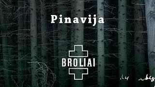 Aistė Smilgevičiūtė ir grupė SKYLĖ  Pinavija [upl. by Reniti366]