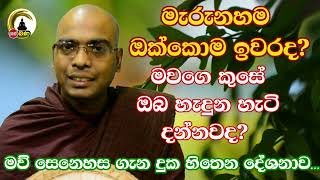 Thapowane Rathana Thero l Sith Neth Asapuwa bana l 2024 10 05 [upl. by Arrik]