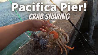 Dungeness Crab Snaring at Pacifica Pier [upl. by Idnil]