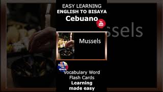 English to Bisaya  Cebuano Lessons  15 Common Words Lesson 52  bisaya english cebu [upl. by Gish]