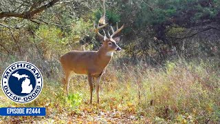 Bow Hunting Gun Hunting Bragging Board Michigan Out of Doors TV 2444 [upl. by Munafo]