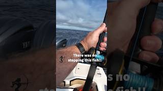 Getting Spooled by a Yellowtail With FinsNSpines fishing fishinglife yellowtail kingfish [upl. by Ellon]