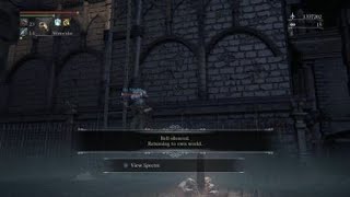 Bloodborne™ connection goofiness [upl. by Berner]