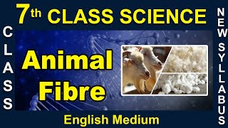 7st Class  English Medium  Science  Animal Fibre  2020 New Syllabus  Digital Teacher [upl. by Nolitta]