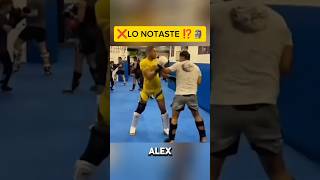 LA PEGADA DE ALEX ES BRUTAL🥊 kickboxing mma peleadebox ufc kickboxer striking sparring box [upl. by Yecats]