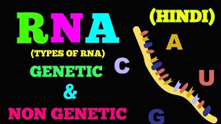 TYPES OF RNA EASY WAY  HINDI [upl. by Erena]