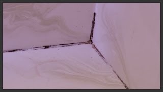 Remove amp replace moldy shower caulk [upl. by Lauer]