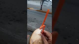 Agua de Coco fría Dulcito y sabroso 😋 [upl. by Htebazie871]