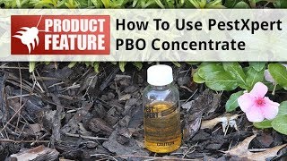 How to Use PestXpert Pyrethrum PBO Plus Concentrate [upl. by Eelrehpotsirhc239]