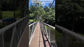 Yarra river walking trail [upl. by Scherman540]