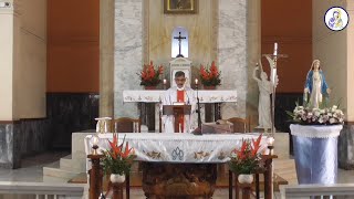 Catholic Mass Today Wednesday 8 September 2021 [upl. by Nevsa]